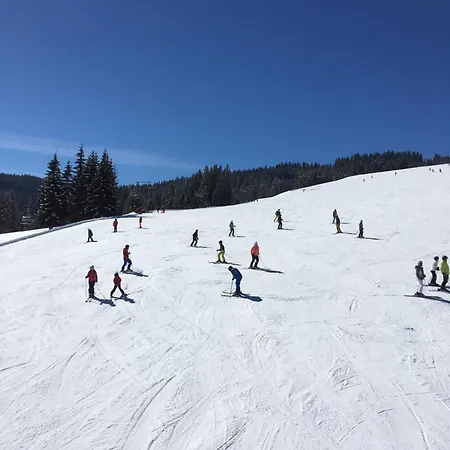 Appartement - Vollholz Im Zentrum Von Flachau