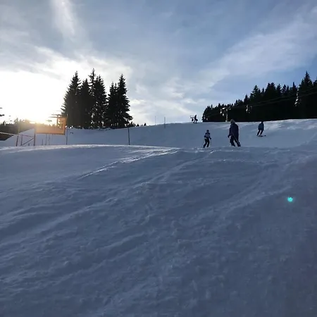 Apartamento - Vollholz Im Zentrum Von