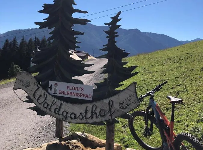 - Vollholz Im Zentrum Von Apartament