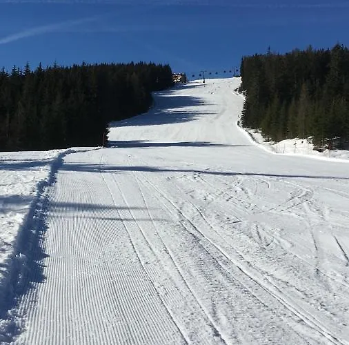 - Vollholz Im Zentrum Von Apartament *