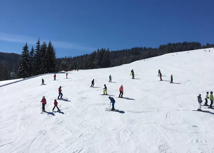 アパート - Vollholz Im Zentrum Von フラッハウ