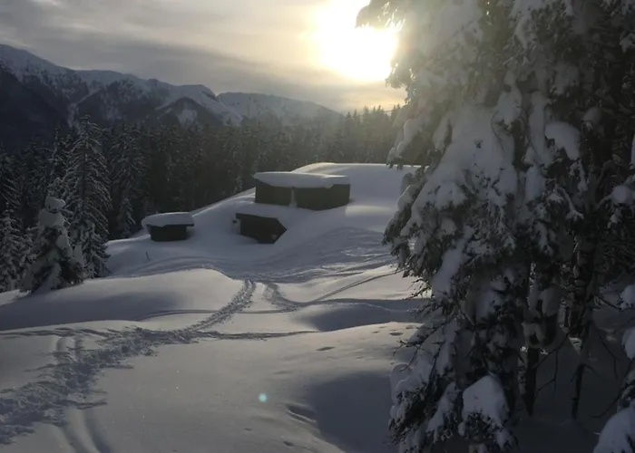 - Vollholz Im Zentrum Von *